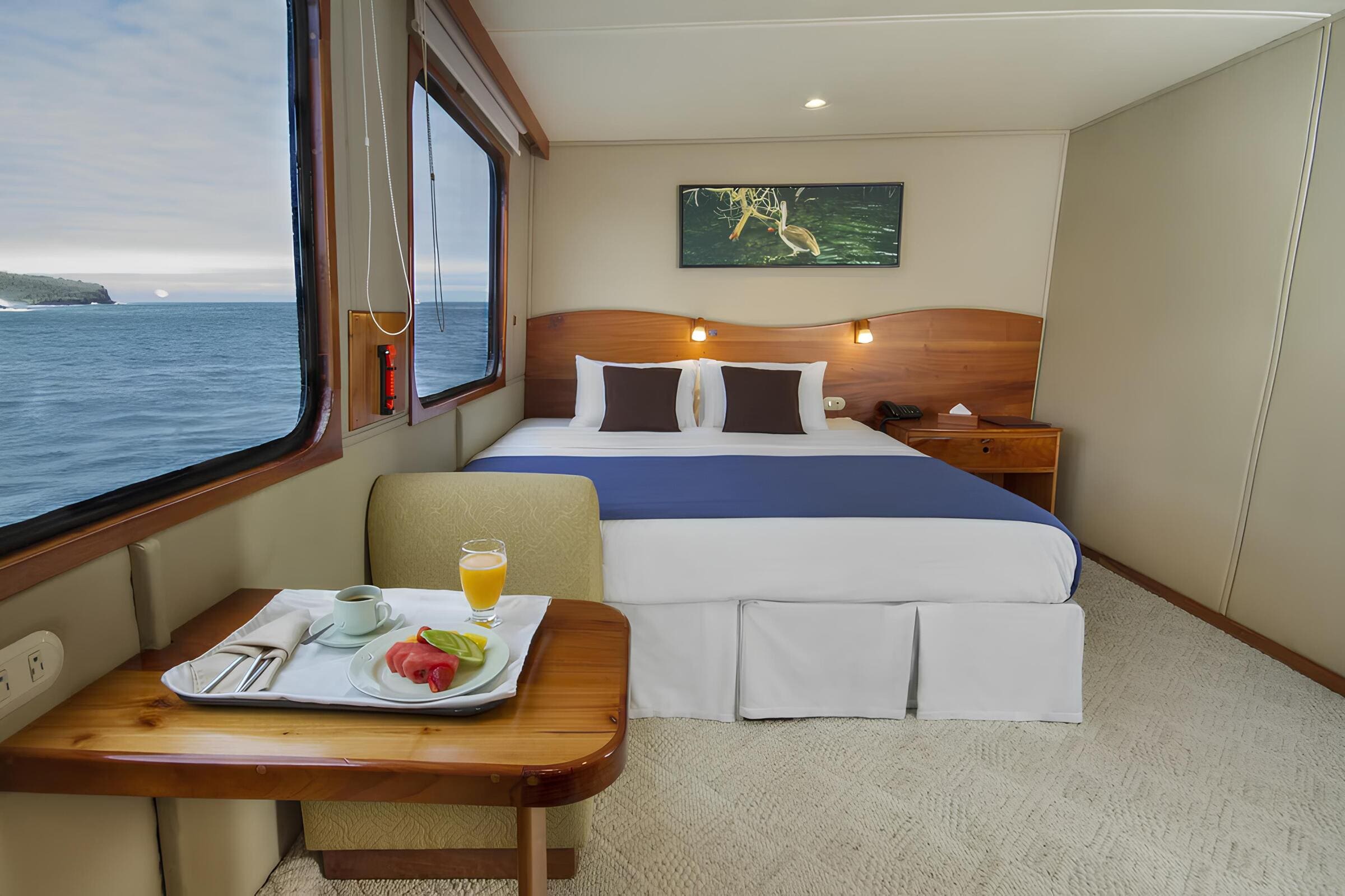 VIP-каюта/VIP cabin