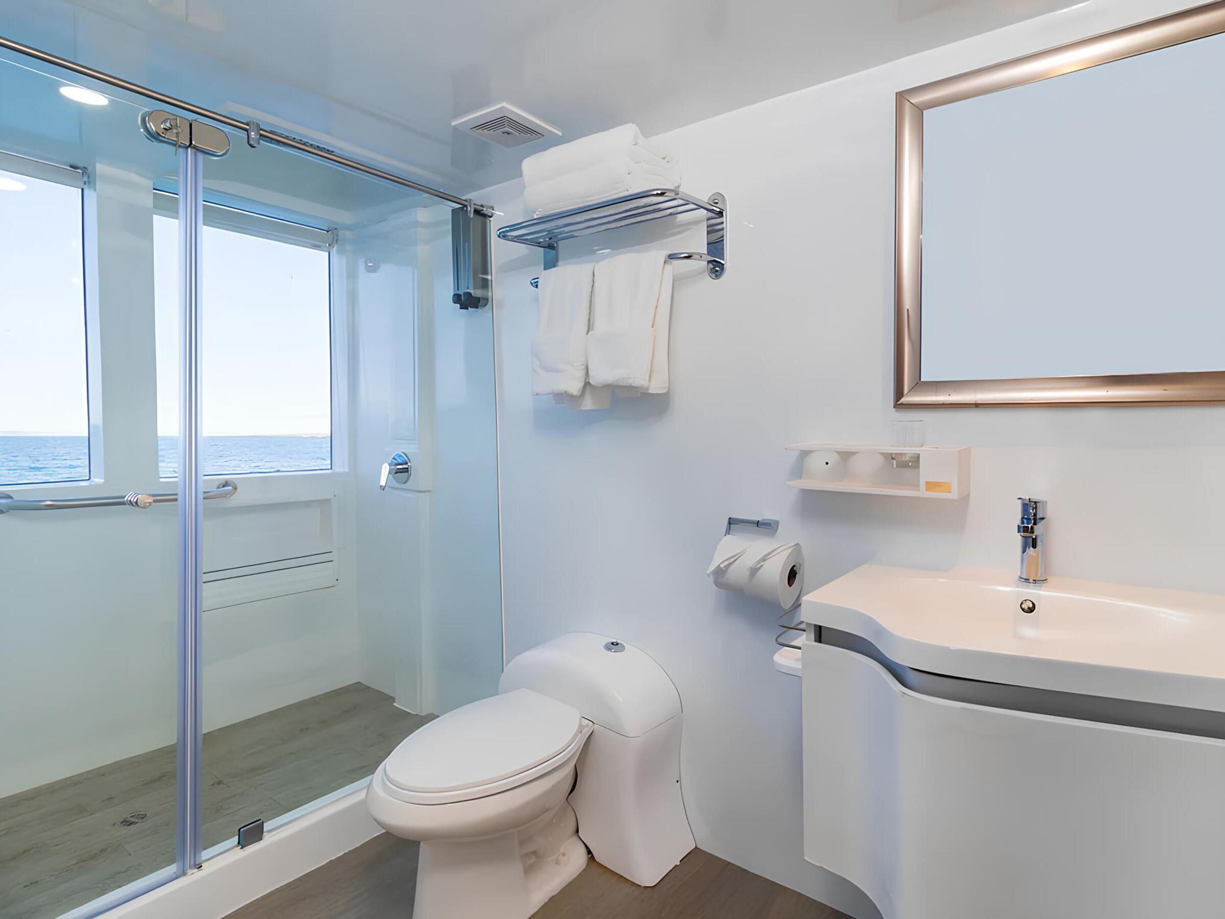 VIP-санузел/VIP bathroom