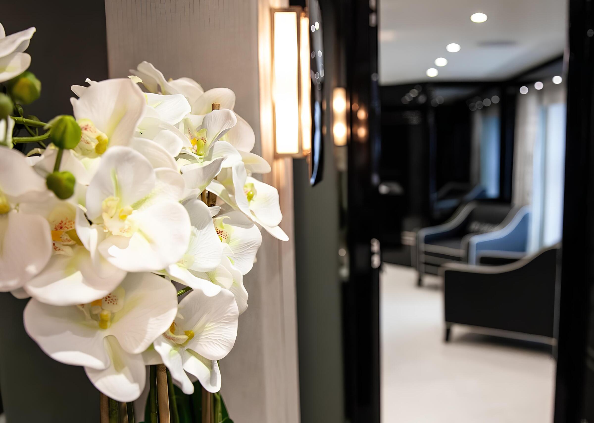 Зона отдыха в главном салоне/Main salon lounge area