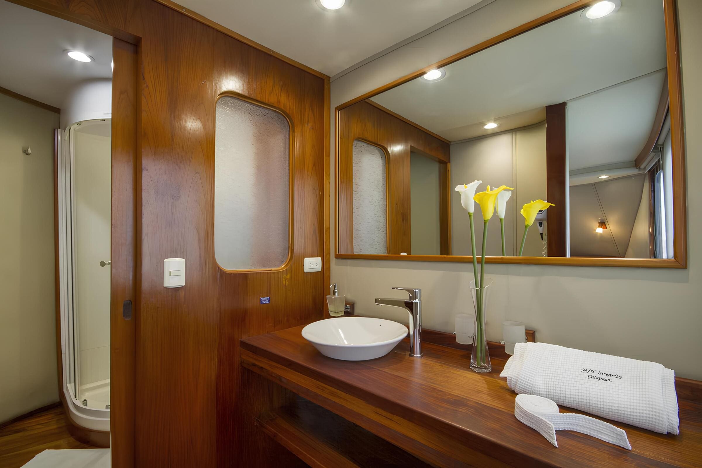 Санузел владельца/Master bathroom