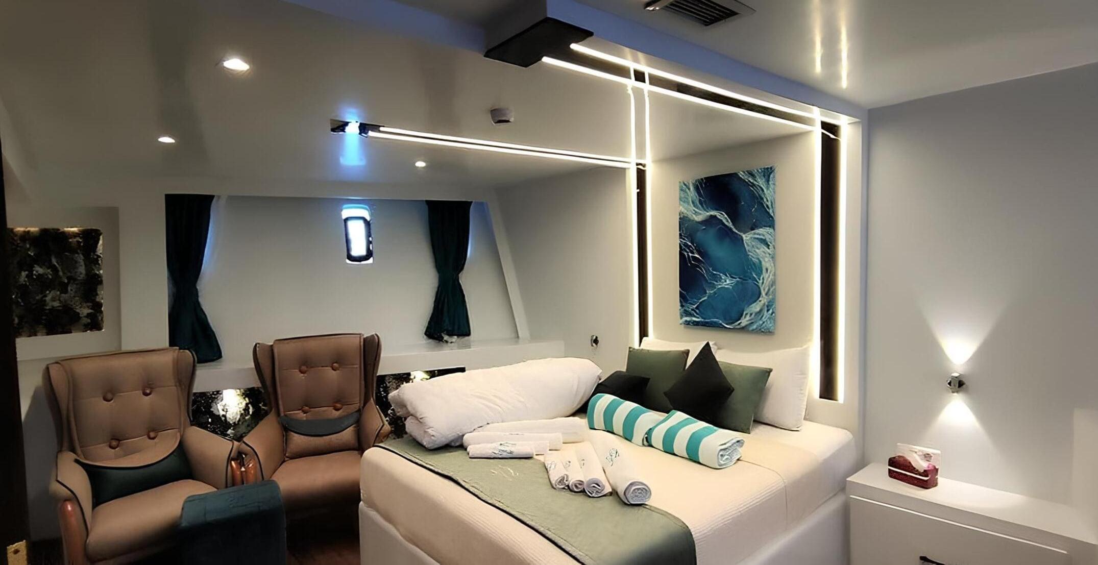 VIP-каюта/VIP cabin