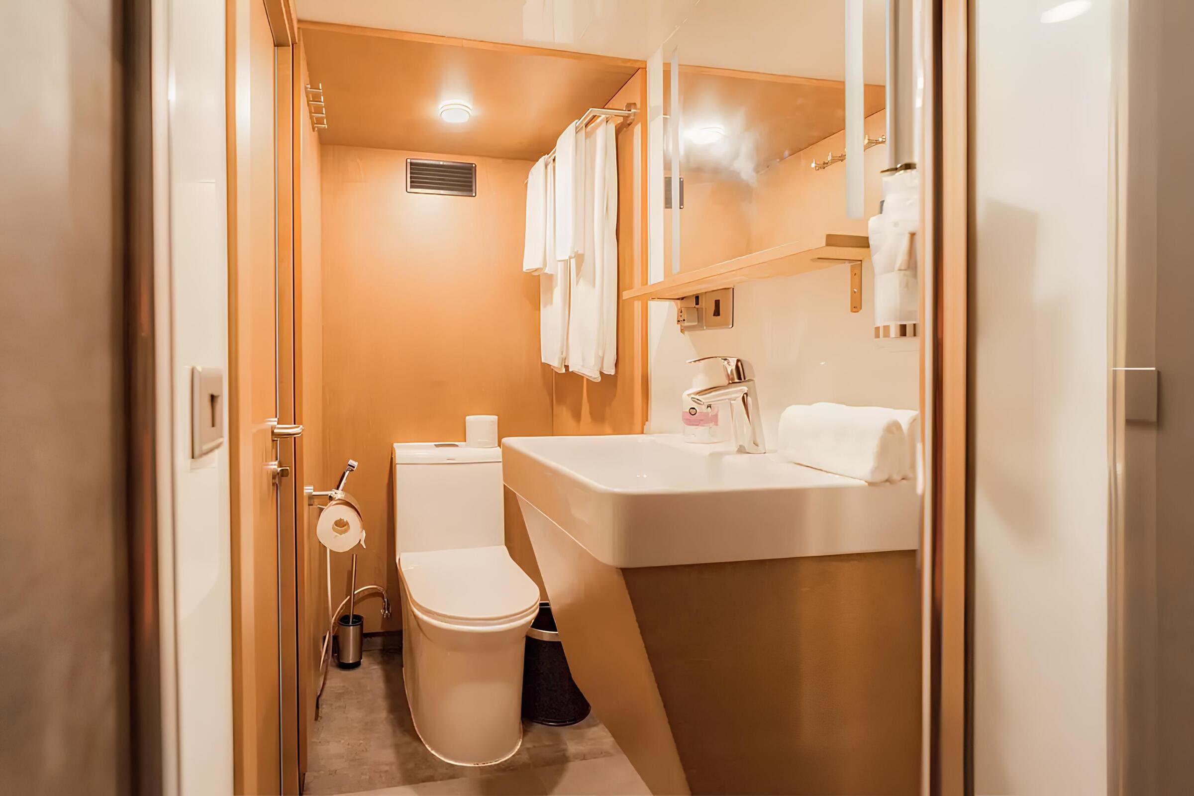Гостевой санузел/Guest bathroom