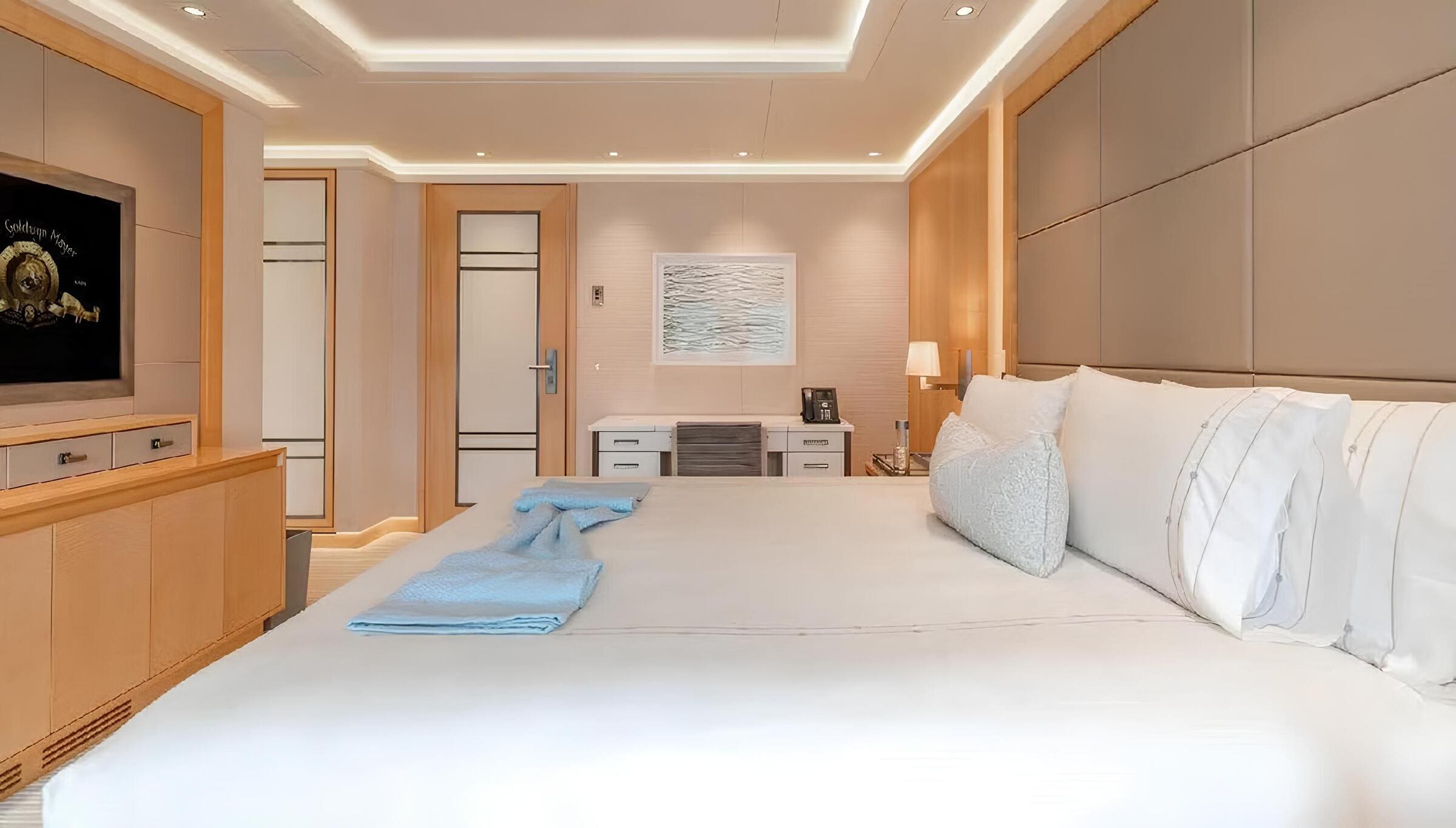 VIP-каюта/VIP cabin