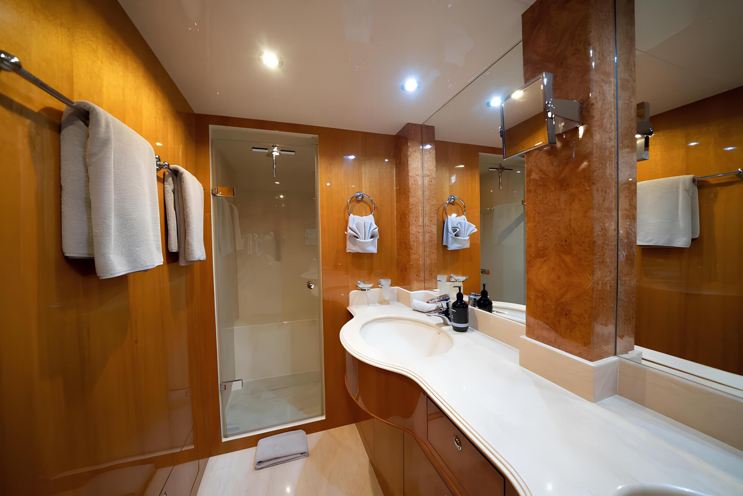 Санузел владельца/Master bathroom