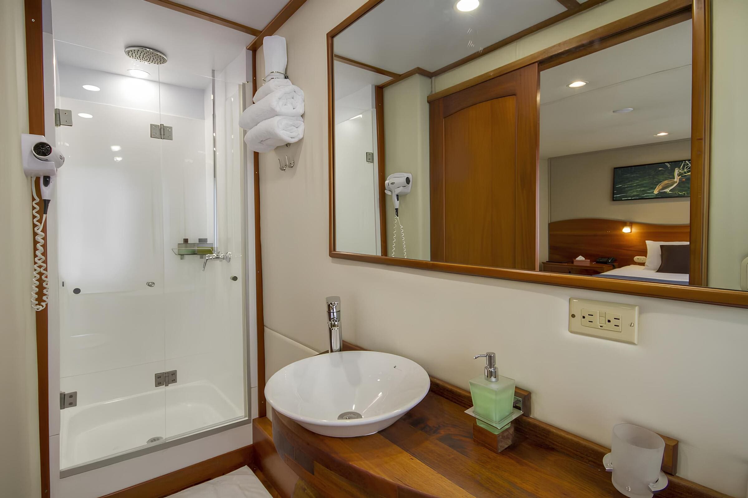 VIP-санузел/VIP bathroom