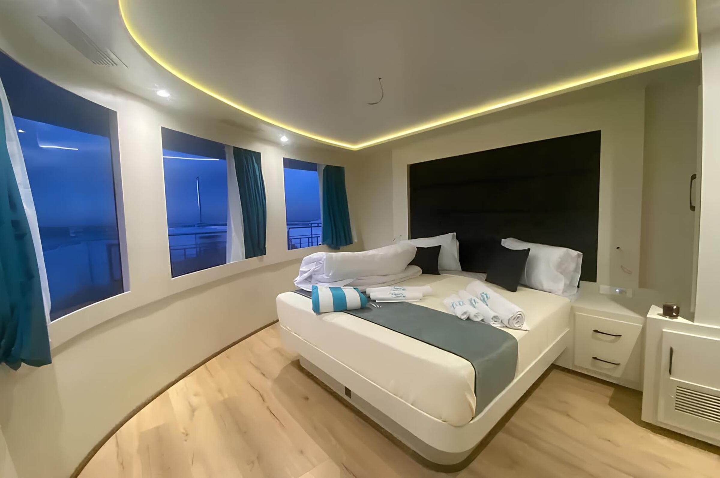 VIP-каюта/VIP cabin