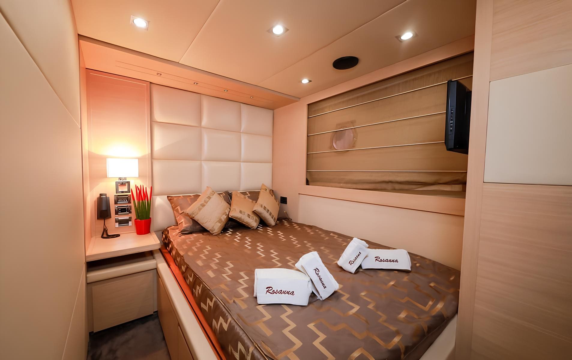 VIP-каюта/VIP cabin