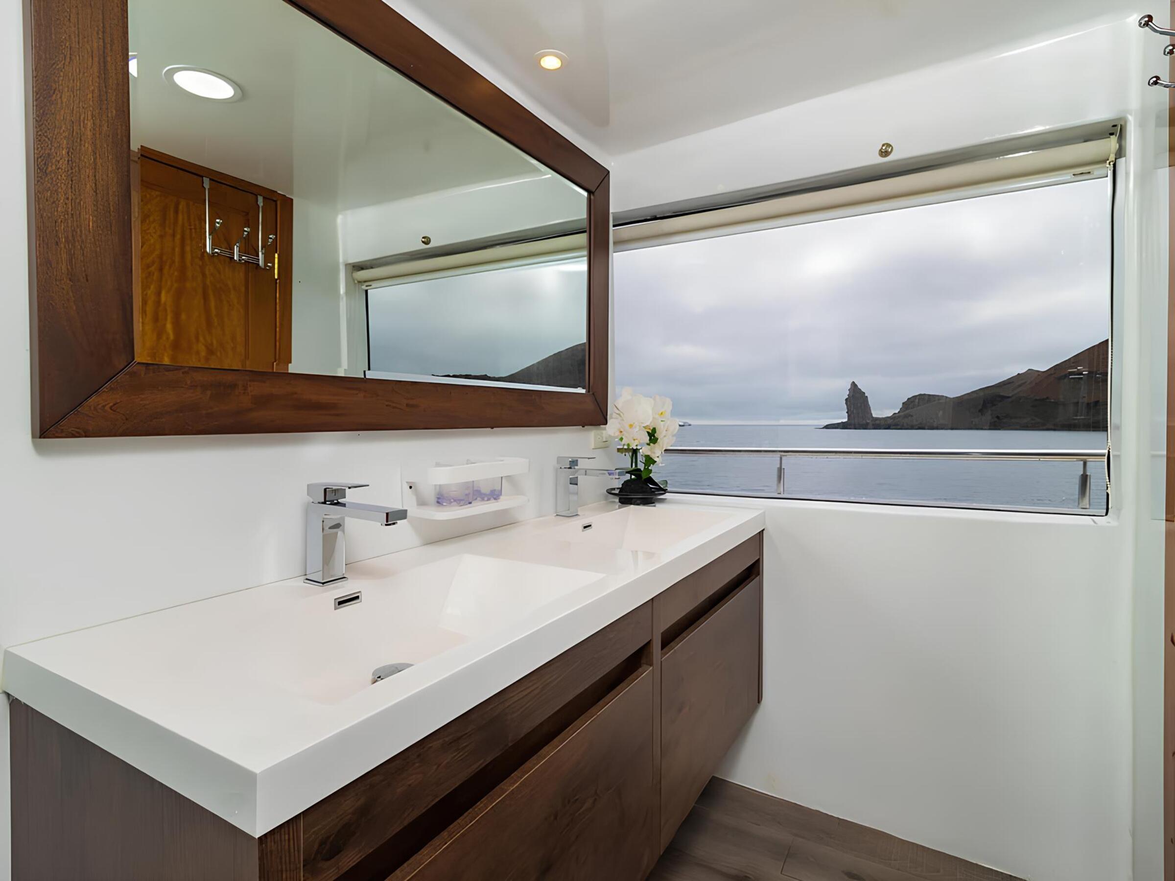 Санузел владельца/Master bathroom