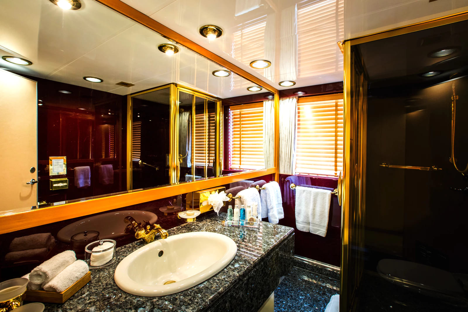 VIP-санузел/VIP bathroom