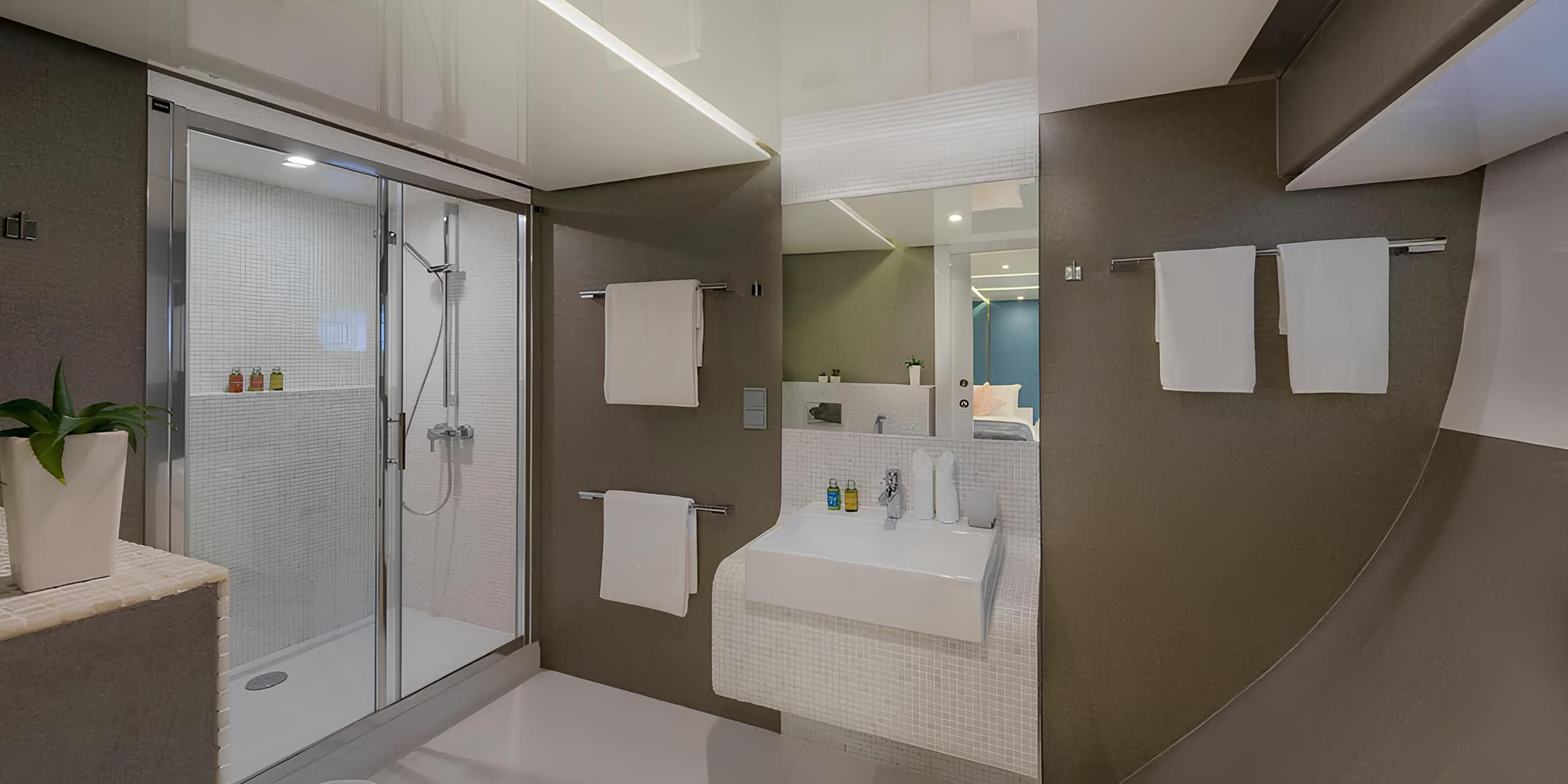 Санузел владельца/Master bathroom