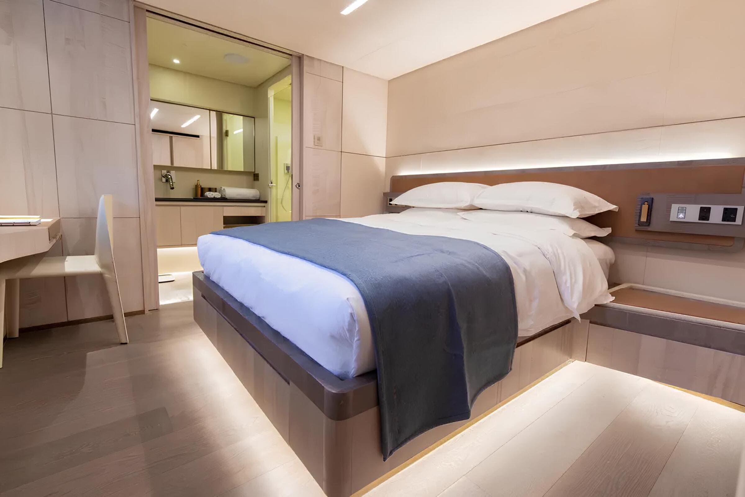 VIP-каюта/VIP cabin