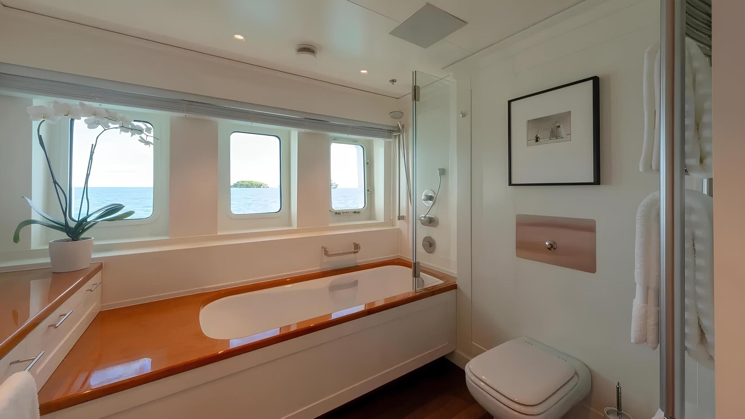 Санузел владельца/Master bathroom
