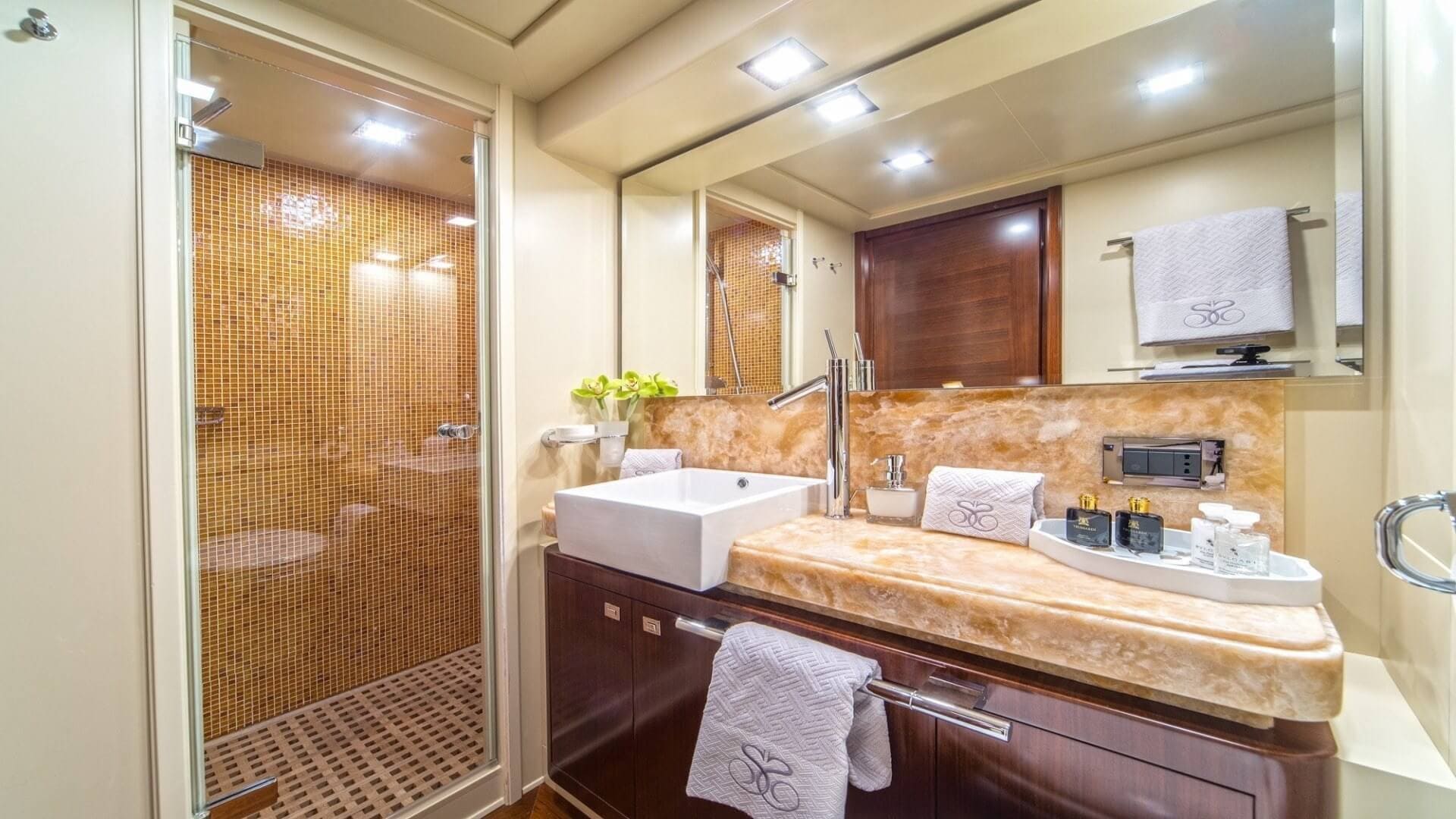 Мастер санузел/Master bathroom