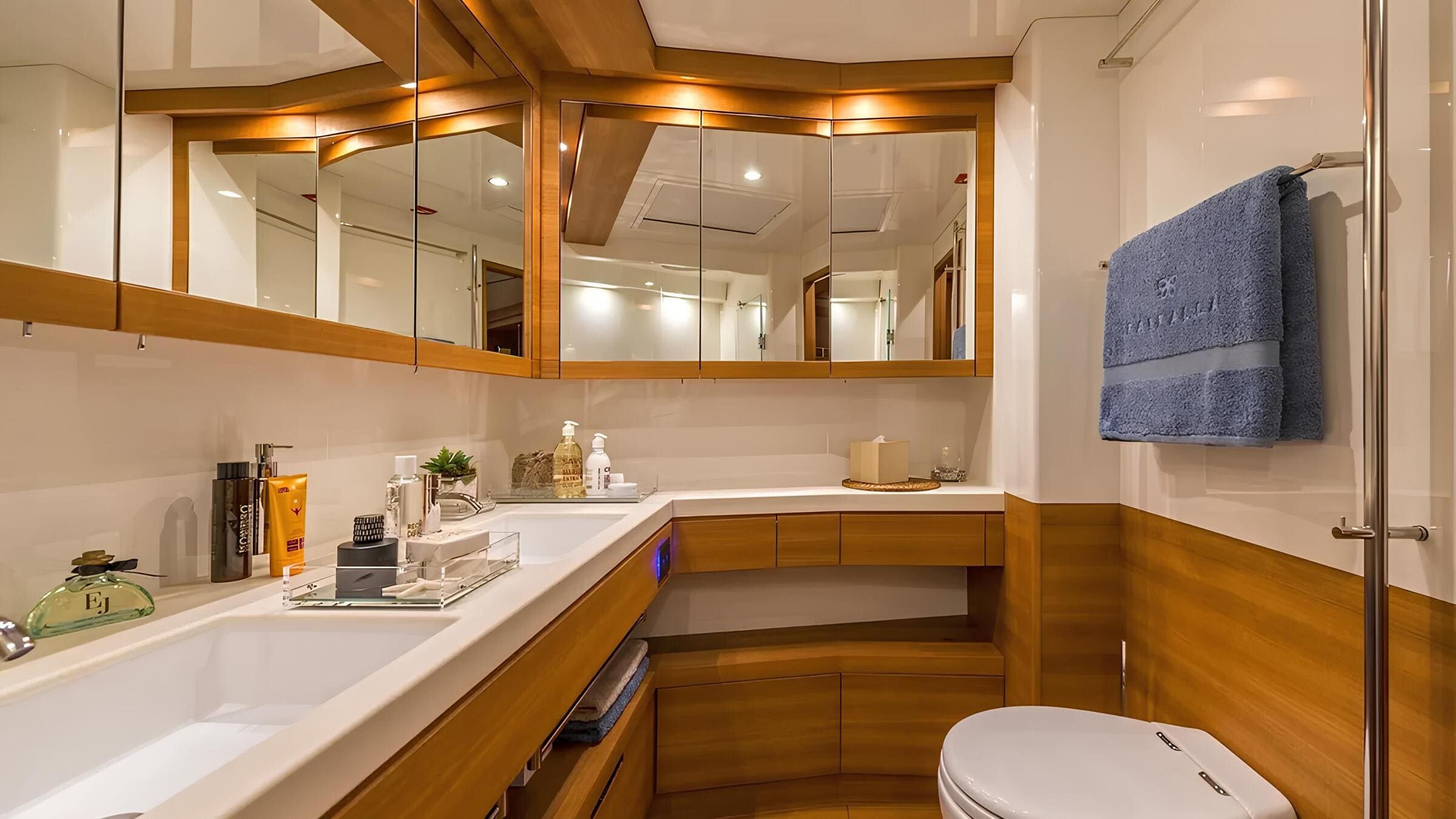 Санузел владельца/Master bathroom