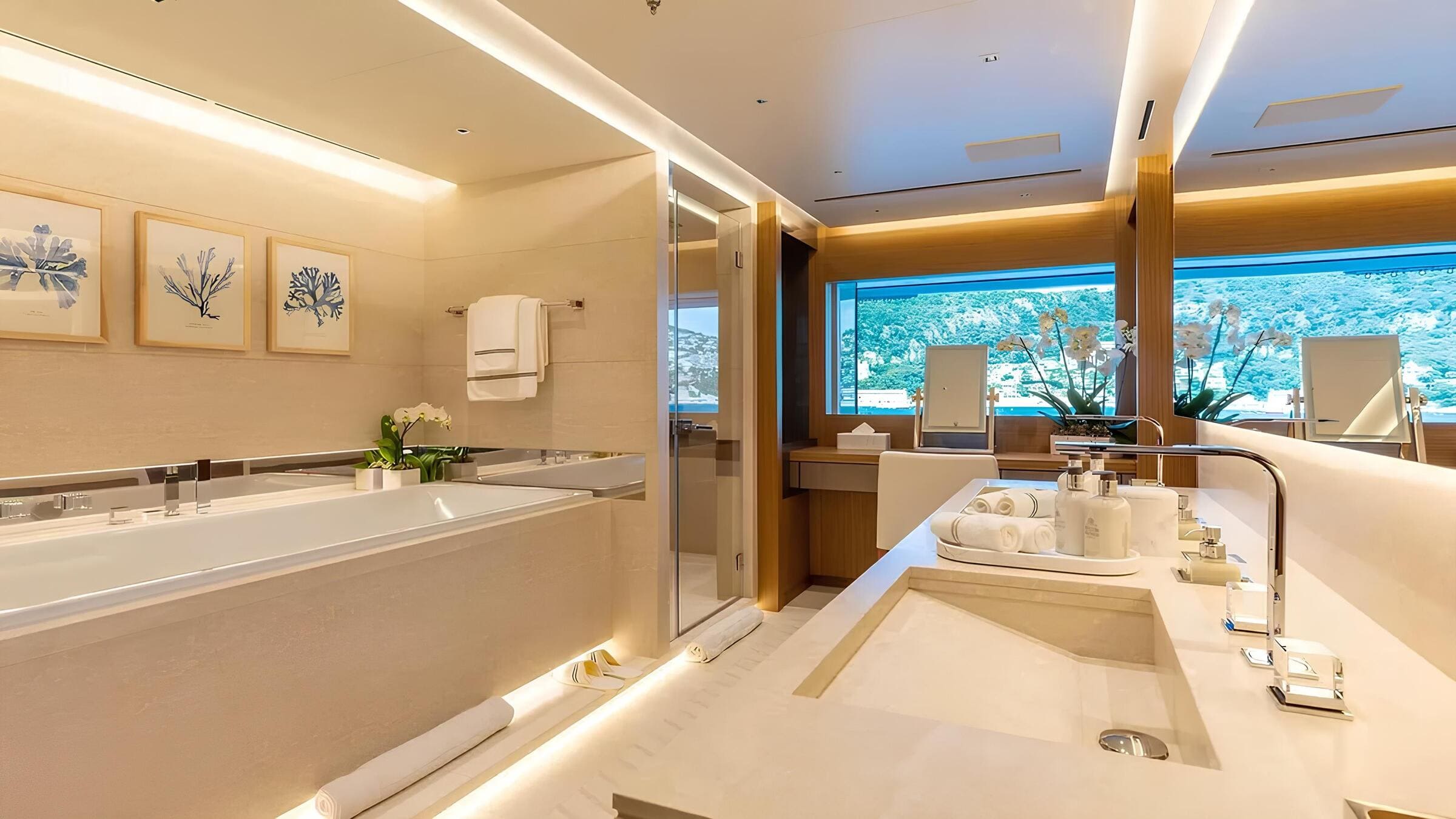 Санузел владельца/Master bathroom