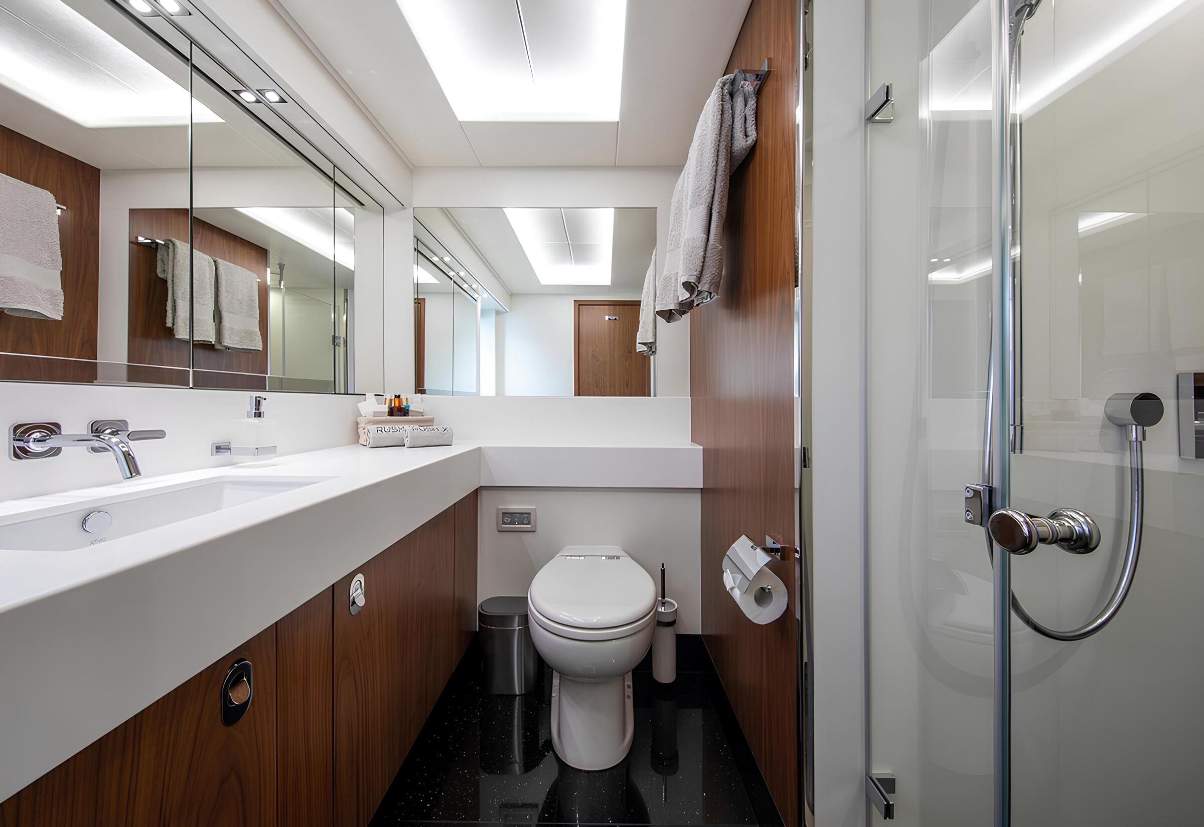 Санузел владельца/Master bathroom