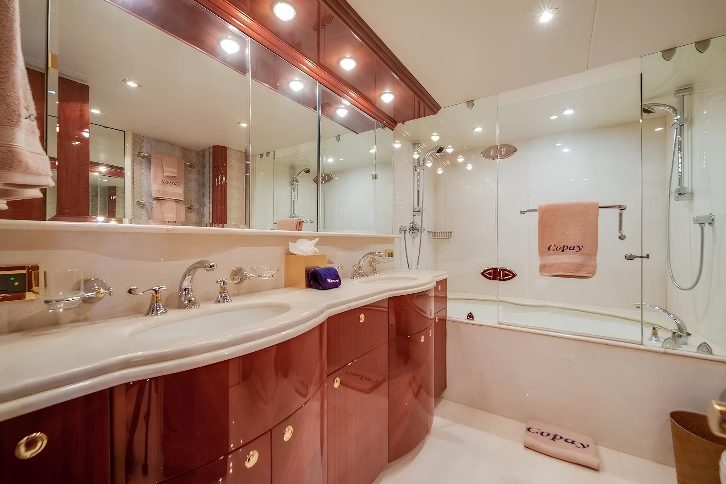 Санузел владельца/Master bathroom