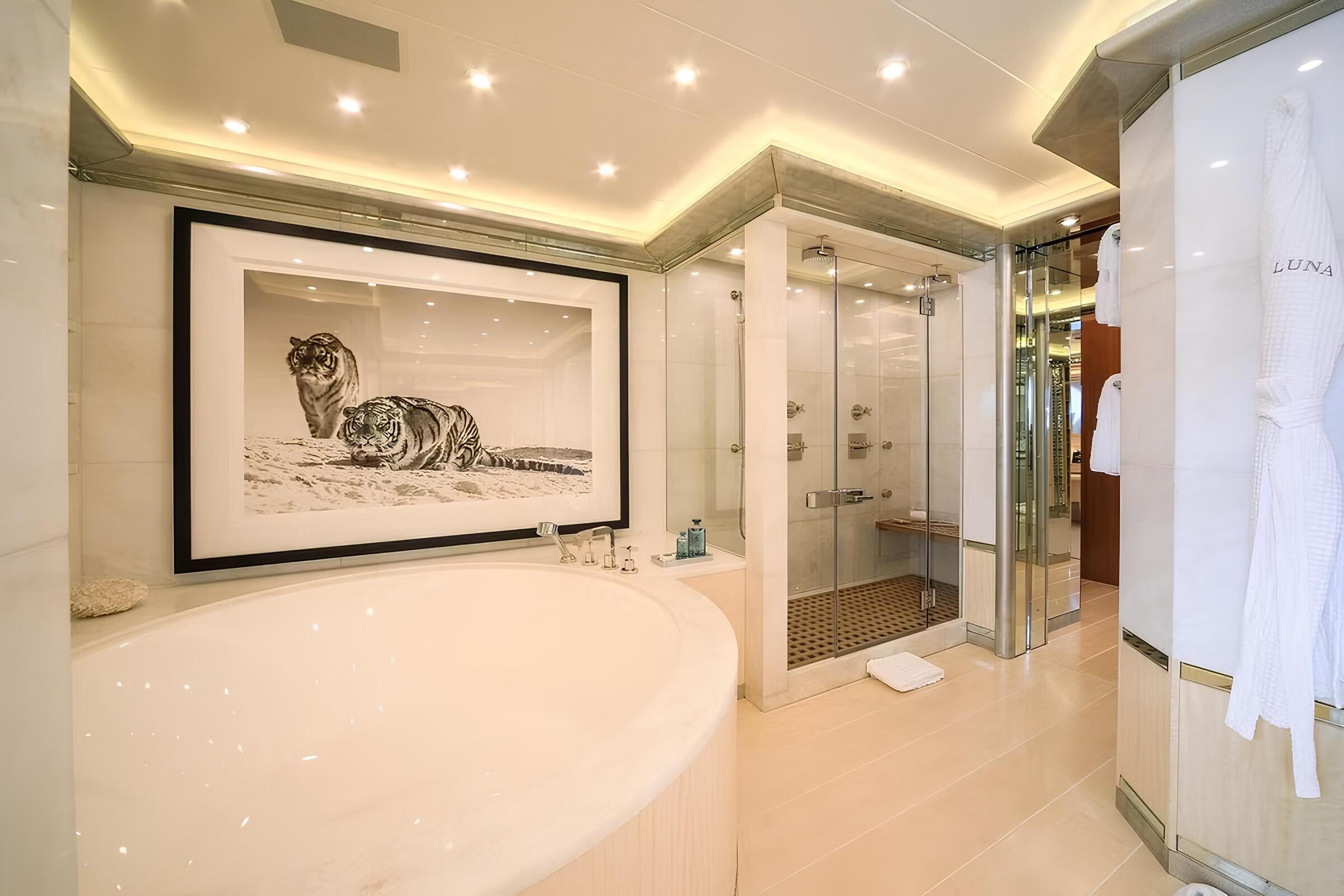 Санузел владельца/Master bathroom