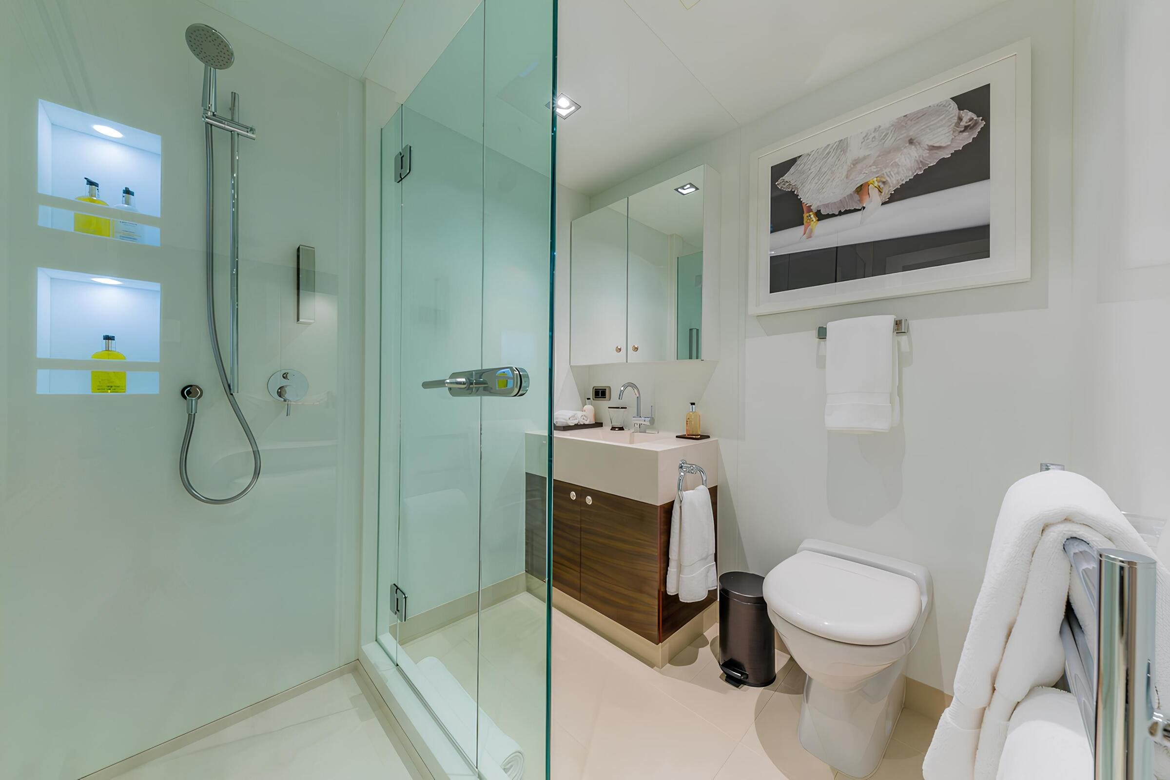 VIP-санузел/VIP bathroom