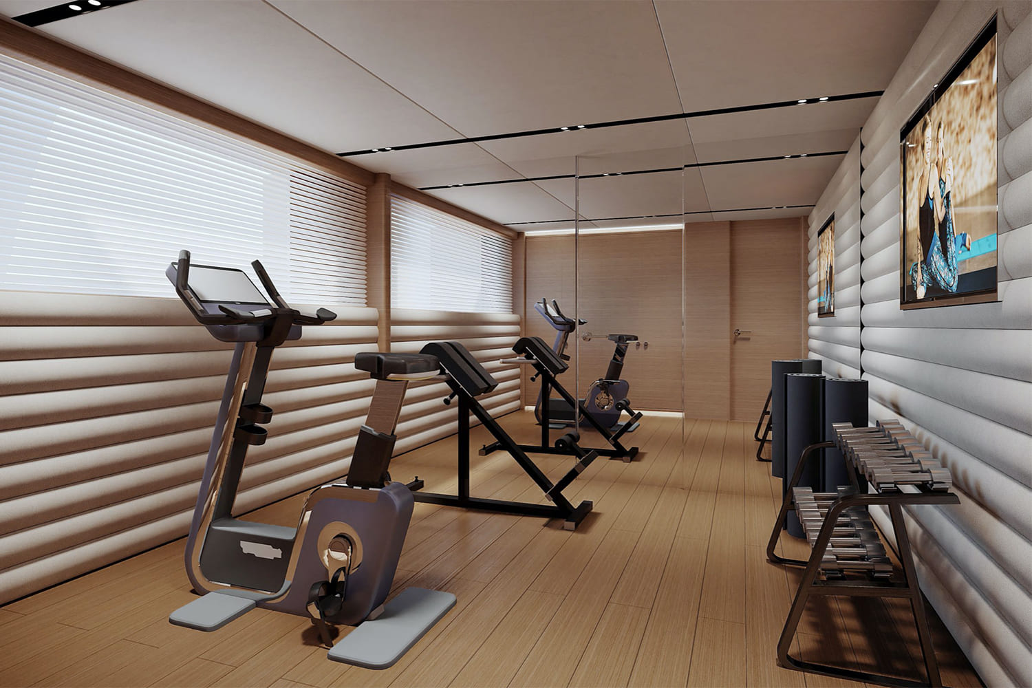 Тренажерный зал на нижней палубе/Gym on the lower deck