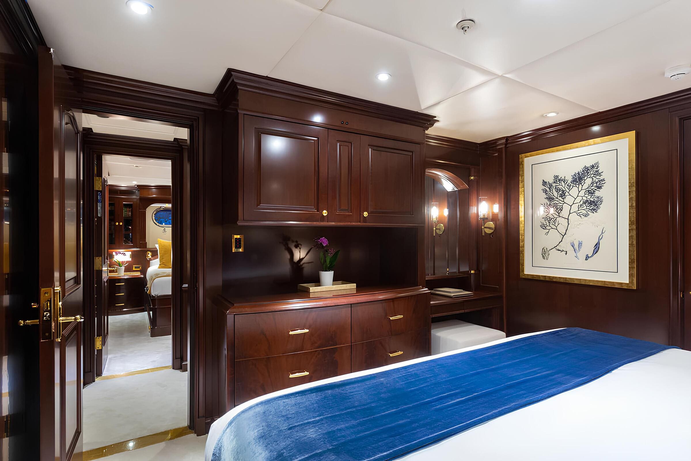 VIP-каюта/VIP cabin